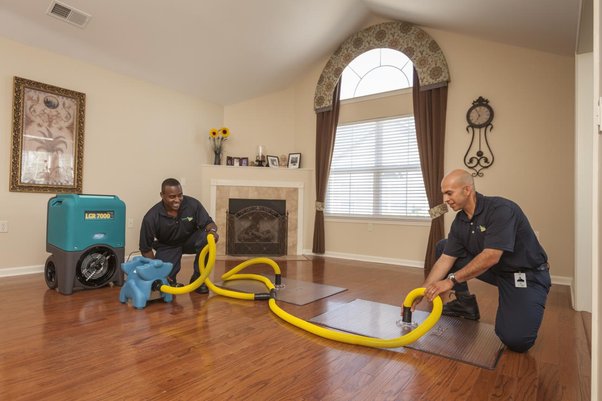 Effective Water Damage Restoration: Expert Tips & Techniques