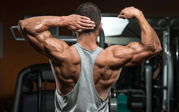 Ultimate Steroids Guide: Top Tips For Success