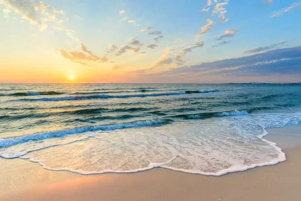 Omakase Miami Beach Guide: Tips For The Best Experience